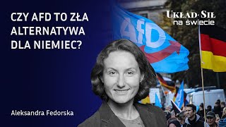 Czy AfD to zła alternatywa dla Niemiec  Aleksandra Fedorska [upl. by Tillfourd]