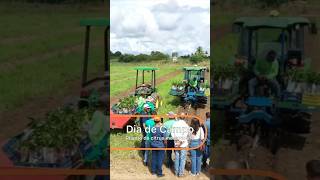 Plantio de citros mecanizado 🚜🍊 agro agricultura fazenda fruta laranja [upl. by Lois]