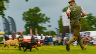 getting Chased by Puppies at the Game Fair [upl. by Anirda327]