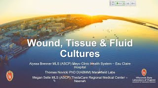 Wound Tissue amp Fluid Cultures [upl. by Croix]