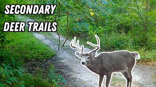 What Are Secondary Travel Routes Why Are They Important to Your Whitetail Property [upl. by Sailesh]