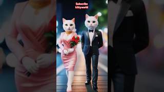 Cats Married life🤣funnycats trynottolough rytshort shortviral marriage life [upl. by Balfore]