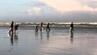 Razor Clamming at Pacific Beach State Park [upl. by Guendolen]