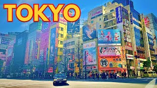 TOKYO All Day Shopping in Akihabara Japan top anime stores capsule toys and more [upl. by Deva]