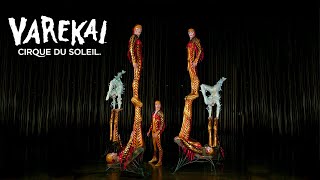 Multiangle Performance Icarian Games  Varekai by Cirque du Soleil [upl. by Aihtekal357]