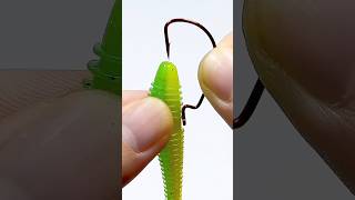 Remember best fishing bait tips fishing shorts [upl. by Nerrad]