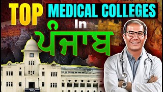 Top Medical Colleges in Punjab  Vinay Shur Sir  Vedantu JEE Punjab [upl. by Gottlieb295]