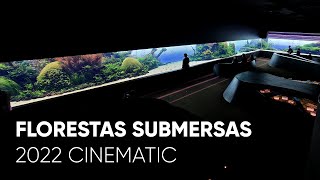 The Best Aquascape in the World Florestas Submersas  The Ultimate Nature Aquarium by Takashi Amano [upl. by Alah]