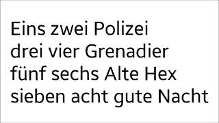 Eins zwei polizei lyrics [upl. by Airdnal]