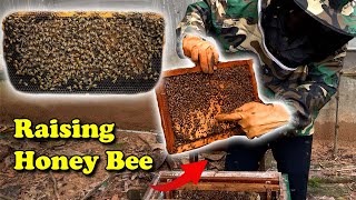 Checking Beehives  Can Bees Survive In The Winter  HoneyBee Father TV [upl. by Fleischer]