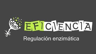 ENZIMAS REGULACIÓN ENZIMÁTICA Activación Inhibición Alosterismo [upl. by Atilrahc]