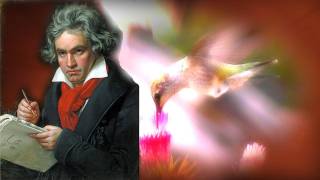 Klassische Musik  Beethoven  Symphony No 6  Symphonie Nr 6  Pastorale  Ludwig van Beethoven [upl. by Franek]