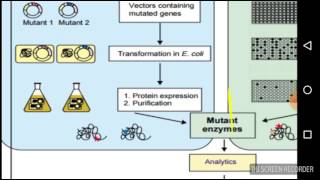 protein engineering [upl. by Robers]