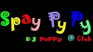 DJPoPPy Boom Boom Mama [upl. by Gimpel]