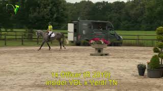 Sportpaardenveiling Dronten  14  Officer G  Insider VDL x Verdi [upl. by Gala988]