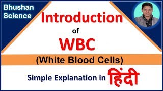 WBC White Blood Cells Introduction in Hindi  Bhushan Science [upl. by Novonod]