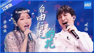 《自由行走的花》完整版：周深萨顶顶 上冲云“顶” 下入“深”海 真是无可替代！全网高赞的神仙打架现场 《王牌对王牌5》王牌对王牌official [upl. by Drofnil]