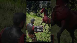 RARE Horse Location In RDR2 shorts rdr2 funny [upl. by Verner674]