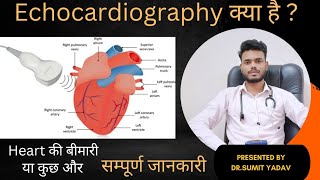 Echocardiography क्या है That Heart Test Can Save Your Life [upl. by Hanako]