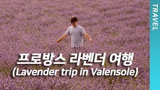 프랑스 남부 엑상 프로방스 발렁솔 라벤더 투어 Lavender trip in Valensole Vlog [upl. by Charlet]