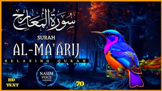 Surah Al Maarij  سورة المعارج  Quran Best Recitation  Most Beautiful Quran [upl. by Maria]