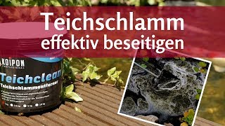 Teichschlamm entfernen – leicht gemacht [upl. by Olav924]