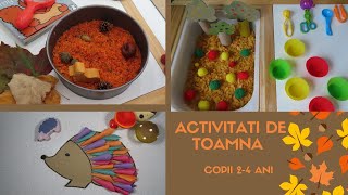 ACTIVITATI MONTESSORI de toamna pentru copiii de 24 ani [upl. by Lorou]