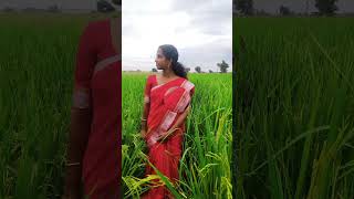 Yathrayayi sooryanguram malayalam song music [upl. by Melone]