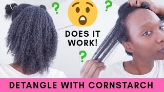 Cornstarch Natural Hair Mask  Easy Detangle Method naturalhairmask [upl. by Sinnej430]