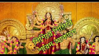 শিশিরে শিশিরে শারদ আকাশে। Agomoni Song  Durga puja special song Mrpachu12n [upl. by Hcra]