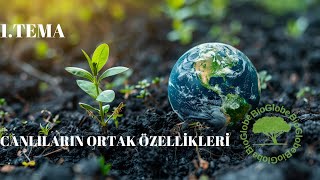 quotYENİ MÜFREDAT quot 9 Sınıf biyoloji Canlıların ortak özellikleri [upl. by Akienaj]