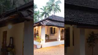 Starting A Homestay In Goa Process Cost Location Marketing  Ft Mavrick Cardoz  Tripoto Shorts [upl. by Gayle]