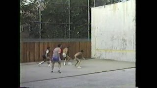 Paddleball game 1986 [upl. by Bendix755]