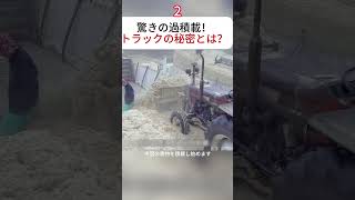 驚きの過積載！トラックの秘密とは？ トラック 過積載 パキスタン サトウキビ 運転手 foryou foryoupage fyp tiktok [upl. by Eilhsa]