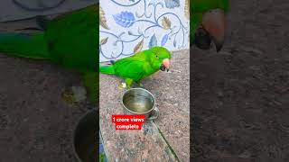 mummy ak gilas pani de do  comedy funny cute  mithu funnymoment [upl. by Weld213]