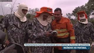 Queimadas no Pantanal mobilizam autoridades públicas [upl. by Gerhardt]