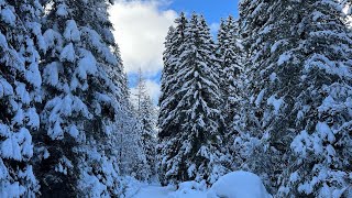 Dolomites Val di Fassa Canazei Campitello Ski alp in val Monzoni and Val Duron [upl. by Apurk98]