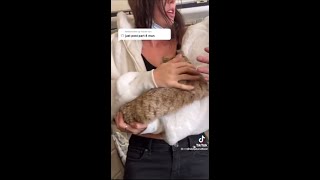 WOMAN BREASTFEEDING CAT ON PLANE [upl. by Nnyllatsyrc]