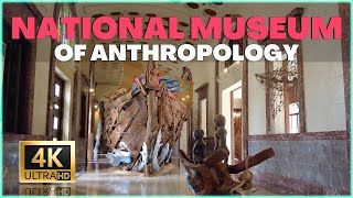 DISCOVERING FILIPINO TREASURES National Museum of Anthropology Walking Tour Manila Philippines 4K [upl. by Annez817]