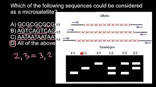What is Microsatellite [upl. by Erdnaed]