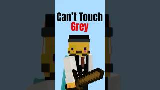 Minecraft But if I Touch Grey the Video Ends… [upl. by Ailedroc206]