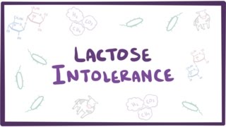 Lactose Intolerance Treatments 6 Tips to Get Your Dairy Back [upl. by Nnaeiram]