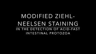 Modified ZiehlNeelsen AcidFast Staining [upl. by Nolrak915]