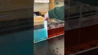 Oceanography  Warm Water vs Cold Salty Water [upl. by Zulch453]