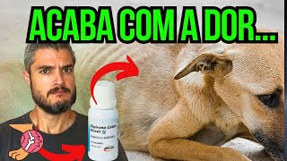 SOLUÇÃO RÁPIDA CACHORRO MANCANDO O QUE FAZER PARA TIRAR A DOR EM CASA C REMÉDIO ANALGÉSICO BARATO [upl. by Ibmab]