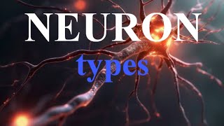 TYPES OF NEURONS  SENSORYMOTOR AND INTER NEURONS  NERVOUS SYSTEM  2024 [upl. by Eltsirhc731]