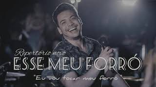 Esse meu forró quoteu vou tocar meu forróquot Wesley safadao [upl. by Aicilana797]