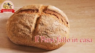 Pane fatto in casa risparmiare denaro senza rinunciare al gusto  Home made Bread [upl. by Daus]