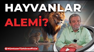 Hayvanlar Alemi  Prof Dr Mümtaz’er Türköne [upl. by Eanyl]