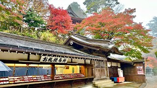 東京 秋の高尾山 散歩🚶二 Japan Walk 4K HDR 202411 [upl. by Aryas964]